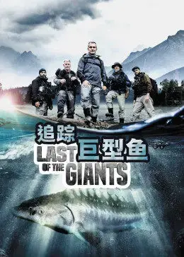 《追踪巨型鱼》影评:一场惊险刺激的探险之旅,揭秘深海巨兽的生存之谜!